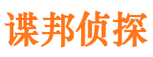 居巢市侦探调查公司